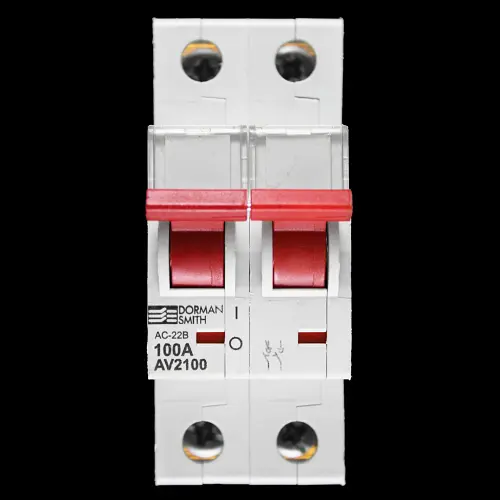 DORMAN SMITH 100 AMP DOUBLE POLE MAIN SWITCH DISCONNECTOR AV2100