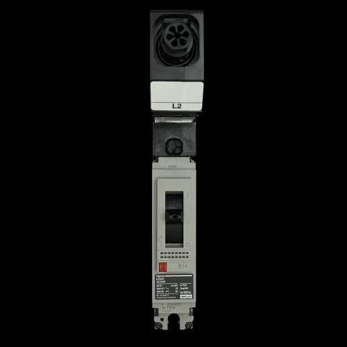 MERLIN GERIN 80 AMP 25kA MCCB NS100N MGP0801L2