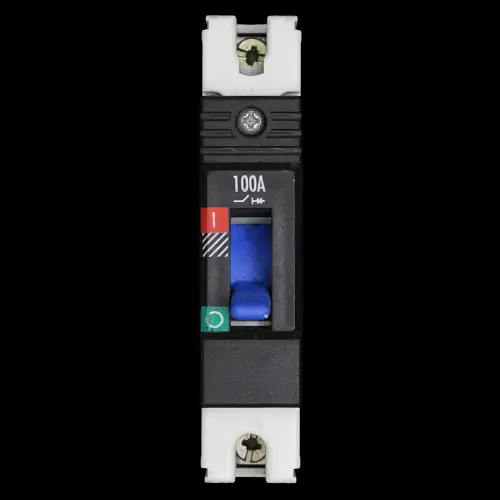 DORMAN SMITH 100 AMP 16kA MCCB GB1P100 LOADLINE