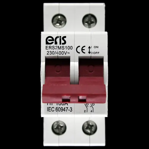 ERIS 100 AMP MAIN SWITCH DISCONNECTOR DOUBLE POLE ERS2MS100