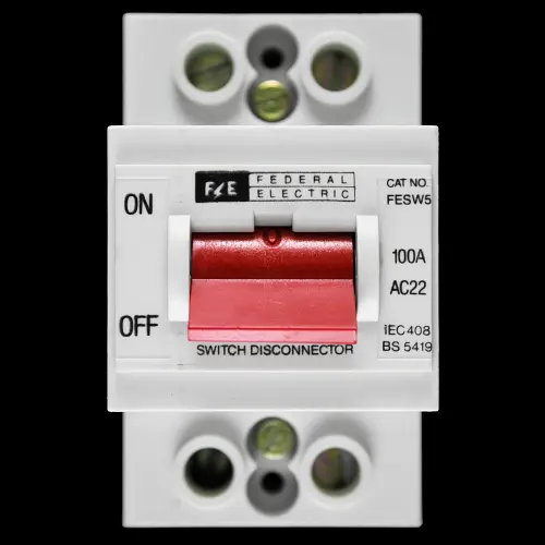 FEDERAL 100 AMP DOUBLE POLE MAIN SWITCH DISCONNECTOR FESW5