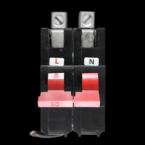 FEDERAL 80 AMP DOUBLE POLE MAIN SWITCH DISCONNECTOR STAB-LOK