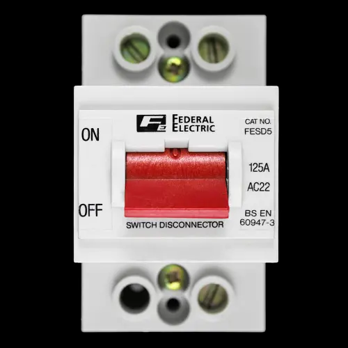 FEDERAL 125 AMP DOUBLE POLE MAIN SWITCH DISCONNECTOR FESD5 AC22