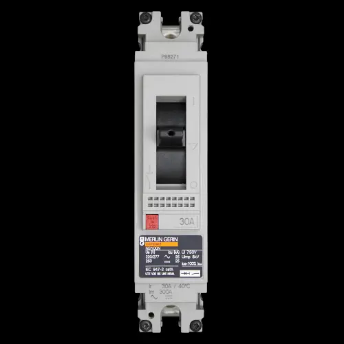MERLIN GERIN 30 AMP 25kA MCCB NS100N 29587 TM30D