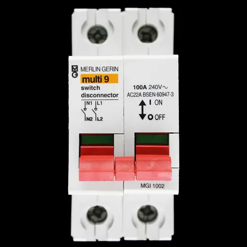MERLIN GERIN 100 AMP DOUBLE POLE MAIN SWITCH DISCONNECTOR MGI1002