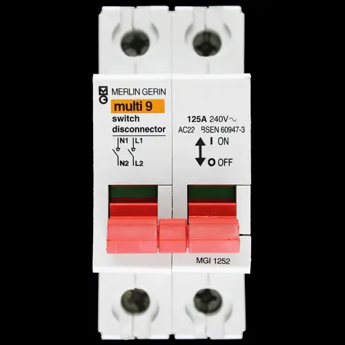 MERLIN GERIN 125 AMP DOUBLE POLE MAIN SWITCH DISCONNECTOR MGI1252