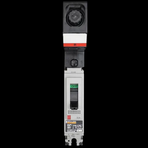 MERLIN GERIN 30 AMP 25kA MCCB NS100N MGP0301R
