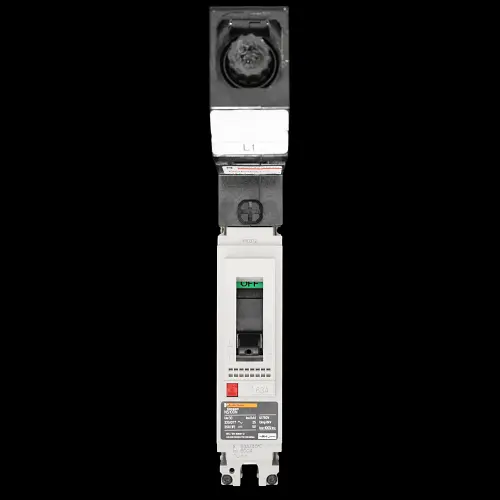 MERLIN GERIN 63 AMP 25kA MCCB NS100N MGP0631L1