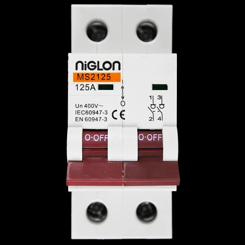 NIGLON 125 AMP DOUBLE POLE MAIN SWITCH DISCONNECTOR MS2125