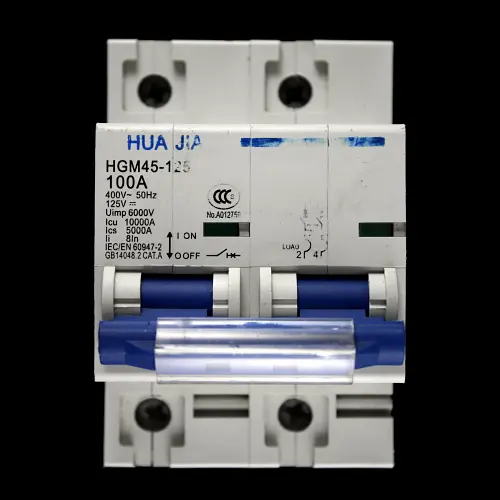 HUA JIA 100 AMP 10kA DOUBLE POLE MCB CIRCUIT BREAKER HGM45-125