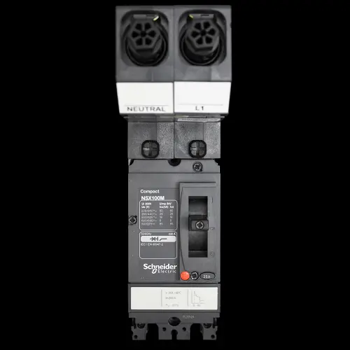 SCHNEIDER 25 AMP 25kA DOUBLE POLE MCCB NSX100M MGP0252L1N