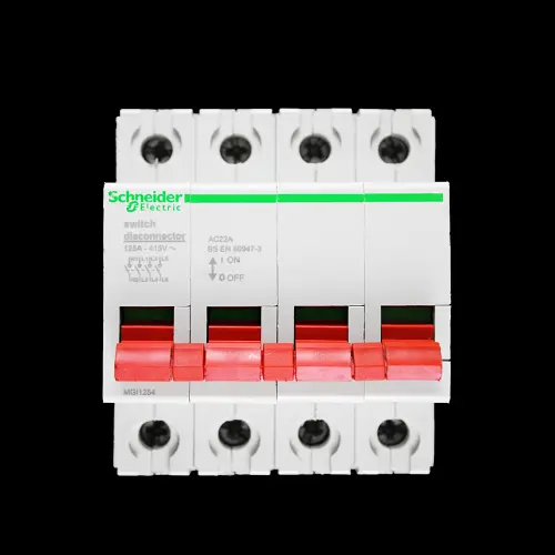 SCHNEIDER 125 AMP FOUR POLE MAIN SWITCH DISCONNECTOR MGI1254