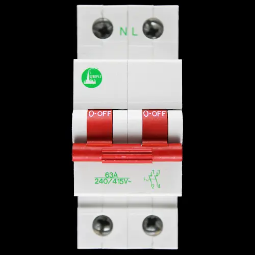 STEEPLE 63 AMP DOUBLE POLE MAIN SWITCH DISCONNECTOR