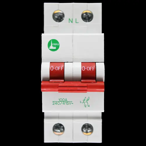 STEEPLE 100 AMP DOUBLE POLE MAIN SWITCH DISCONNECTOR
