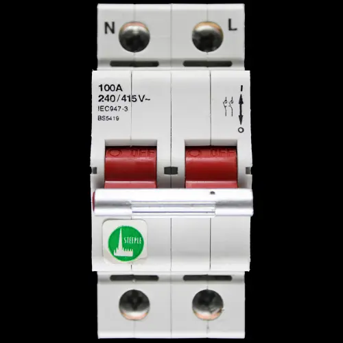 STEEPLE 100 AMP DOUBLE POLE MAIN SWITCH DISCONNECTOR