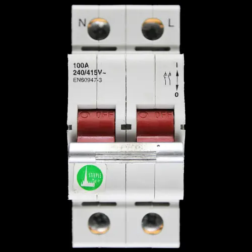 STEEPLE 100 AMP DOUBLE POLE MAIN SWITCH DISCONNECTOR
