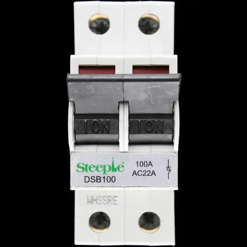 STEEPLE 100 AMP DOUBLE POLE MAIN SWITCH DISCONNECTOR DSB100