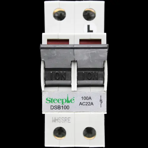 STEEPLE 100 AMP DOUBLE POLE MAIN SWITCH DISCONNECTOR DSB100 LR
